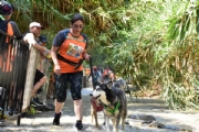 D2310071