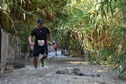 Q2310036