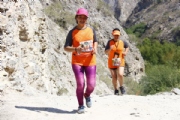 W2313279