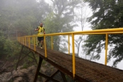 H2319981