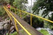 O2319812