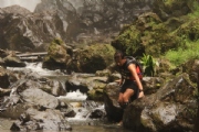 N2320991