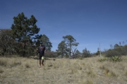 X2288033