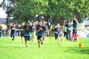 T2315896