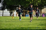 T2314739