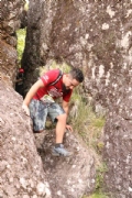H2303664