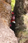 H2303938