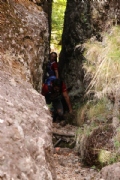 V2303951