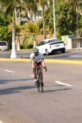 Q2295746