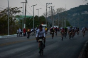 S2295516