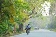 C2293953