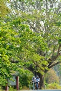 P2294012