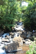 H2301698