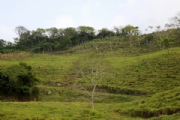 C2335923