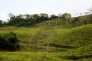 C2335935