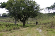H2335981