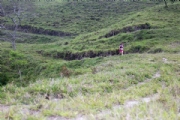 P2335989