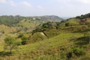 V2336108