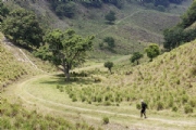 Y2335789