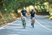 M2323338