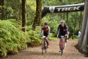 M2329181