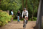 V2328444