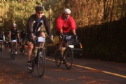 Q2325604