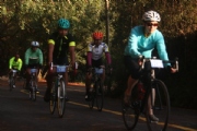 X2325591