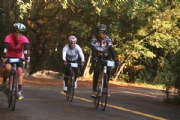 Y2326258