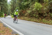 N2327374