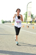 Z2331629