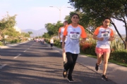 D2331005