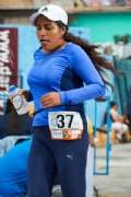 T2335337