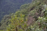 H2336479