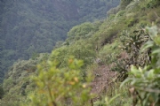 H2336481