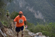 S2336587