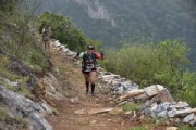 V2336462