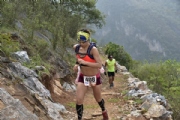 W2336318
