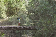 L2334195