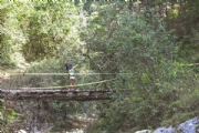 L2334252