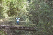 L2334269