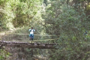 L2334273