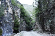 A2338499