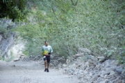 F2338252