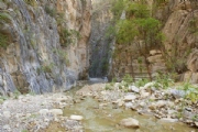 P2338528