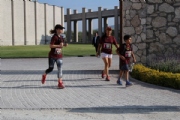 I2344546