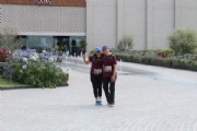 Z2344711