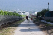 R2348162