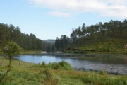 I2368379