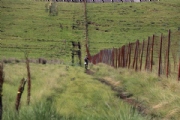 K2367491
